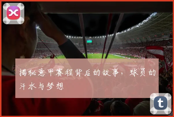 揭秘意甲赛程背后的故事，球员的汗水与梦想