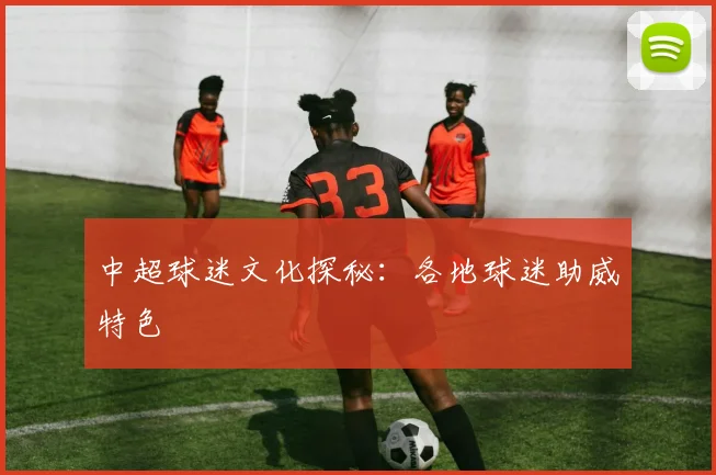 中超球迷文化探秘：各地球迷助威特色